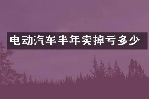 电动汽车半年卖掉亏多少