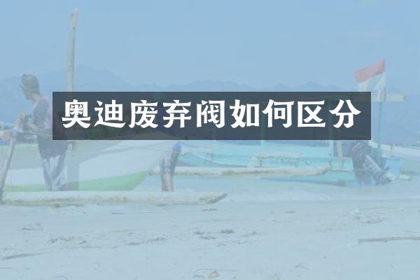 奥迪废弃阀如何区分