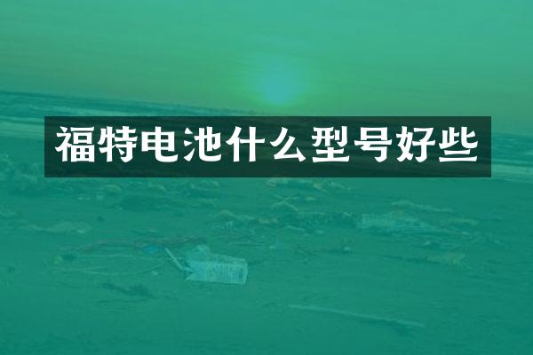 福特电池什么型号好些