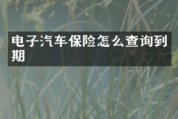 电子汽车保险怎么查询到期