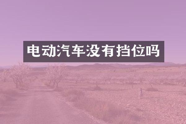 电动汽车没有挡位吗