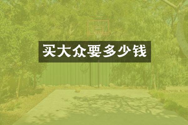 买大众要多少钱