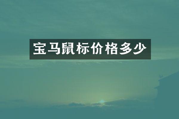 宝马鼠标价格多少