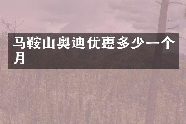 马鞍山奥迪优惠多少一个月
