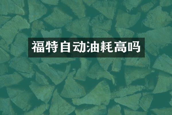 福特自动油耗高吗