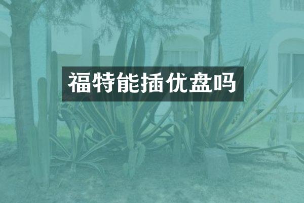 福特能插优盘吗