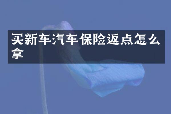 买新车汽车保险返点怎么拿