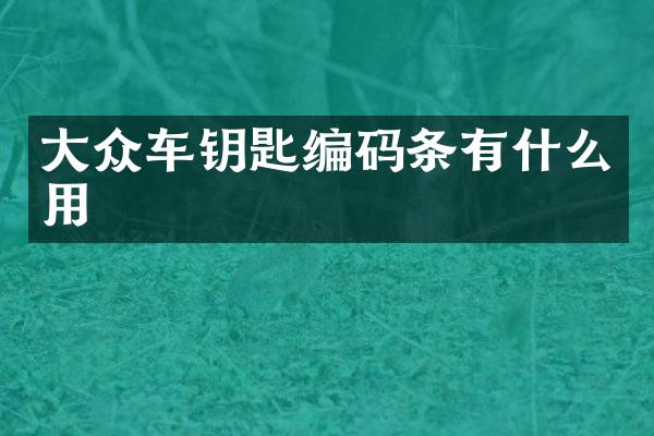 大众车钥匙编码条有什么用