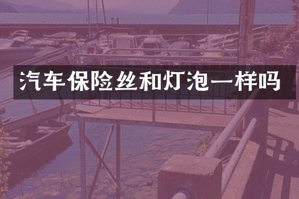 汽车保险丝和灯泡一样吗