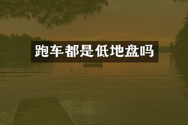 跑车都是低地盘吗