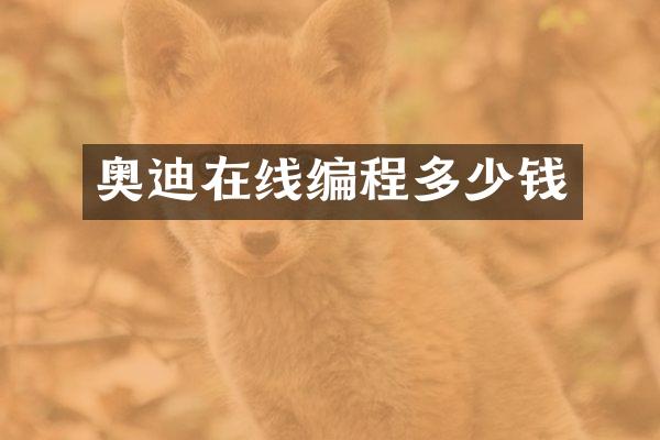 奥迪在线编程多少钱