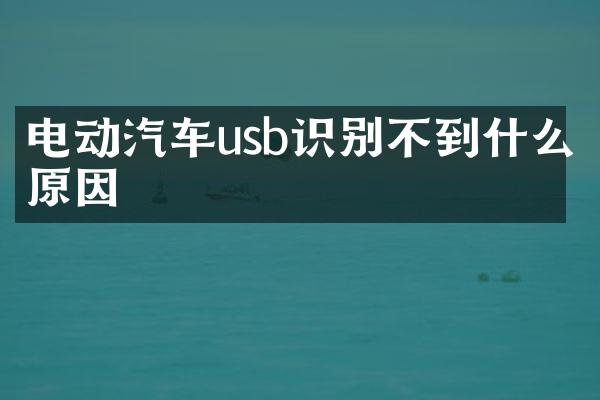 电动汽车usb识别不到什么原因