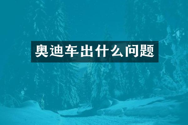 奥迪车出什么问题