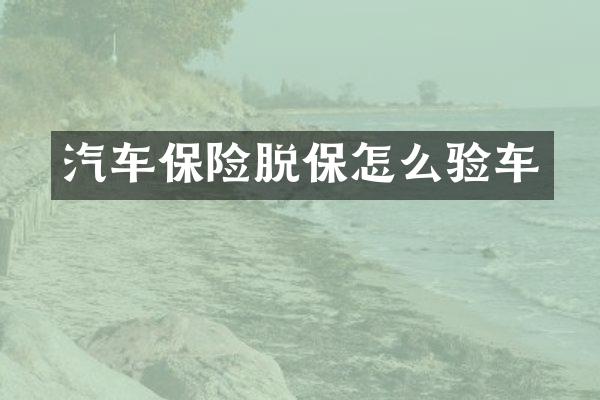 汽车保险脱保怎么验车