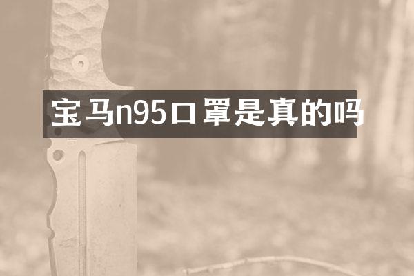 宝马n95口罩是真的吗