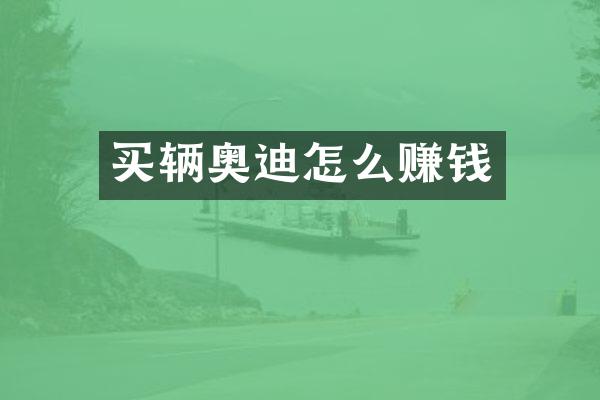 买辆奥迪怎么赚钱