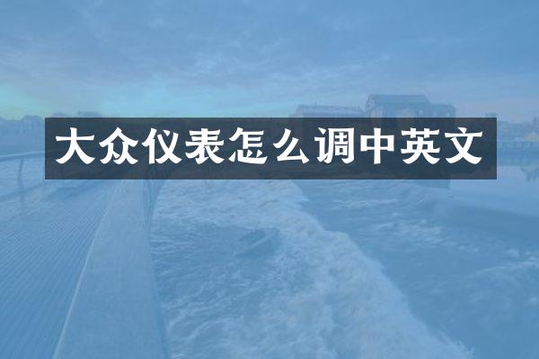 大众仪表怎么调中英文