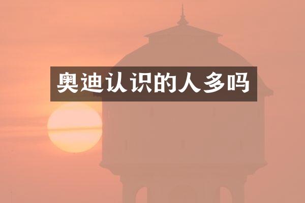 奥迪认识的人多吗