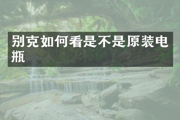 别克如何看是不是原装电瓶