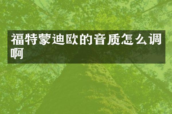 福特蒙迪欧的音质怎么调啊