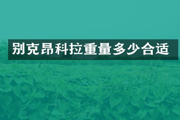 别克昂科拉重量多少合适
