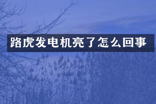 路虎发电机亮了怎么回事