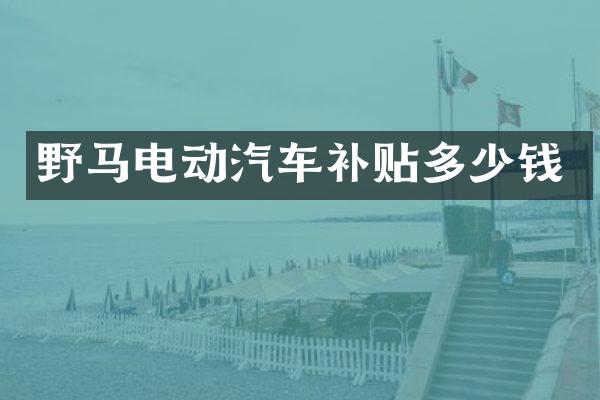 野马电动汽车补贴多少钱
