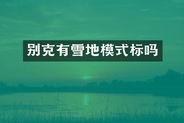 别克有雪地模式标吗