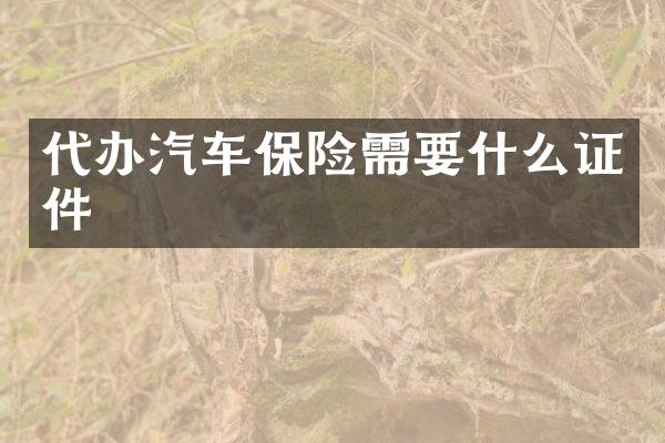 代办汽车保险需要什么证件