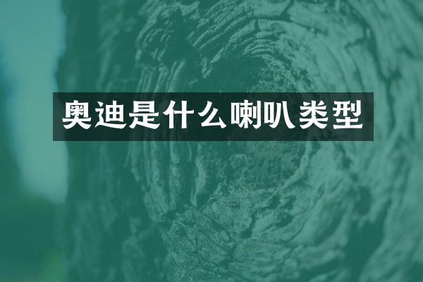 奥迪是什么喇叭类型