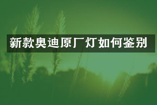 新款奥迪原厂灯如何鉴别