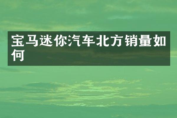 宝马迷你汽车北方销量如何