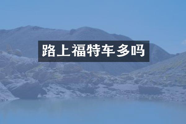 路上福特车多吗