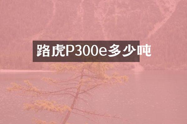 路虎P300e多少吨
