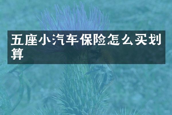 五座小汽车保险怎么买划算