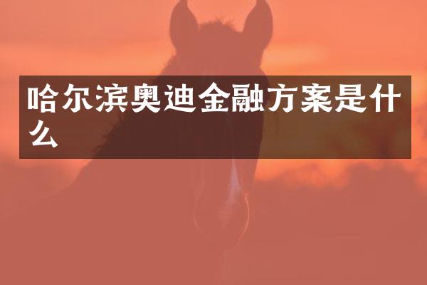 哈尔滨奥迪金融方案是什么