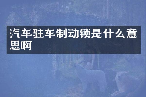 汽车驻车制动锁是什么意思啊