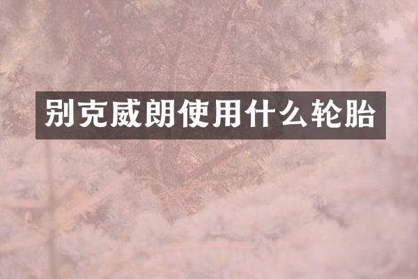 别克威朗使用什么轮胎