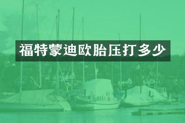 福特蒙迪欧胎压打多少