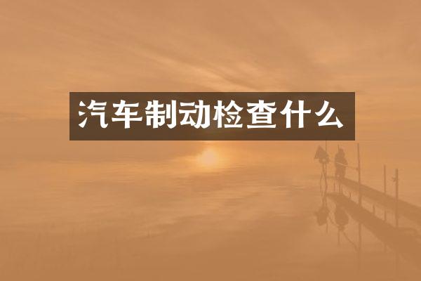 汽车制动检查什么