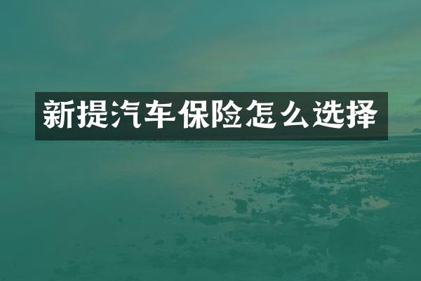 新提汽车保险怎么选择
