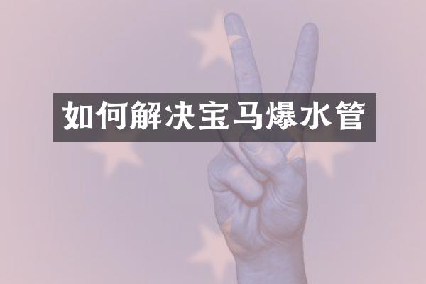如何解决宝马爆水管