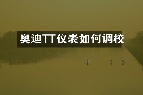 奥迪TT仪表如何调校