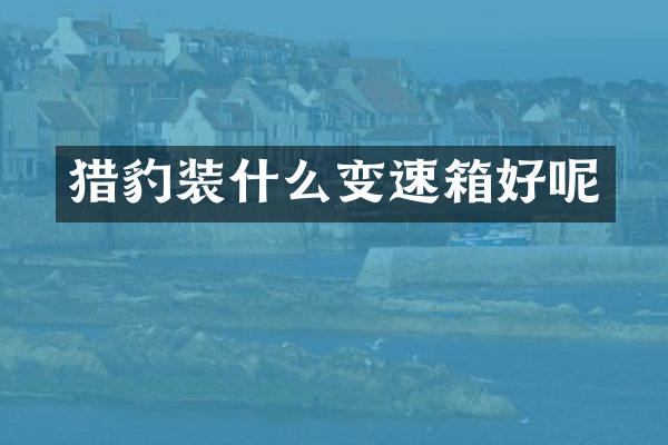 猎豹装什么变速箱好呢