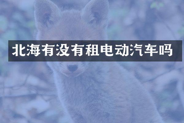 北海有没有租电动汽车吗