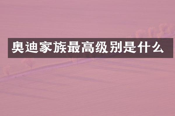 奥迪家族最高级别是什么