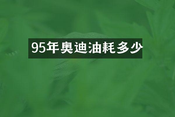 95年奥迪油耗多少