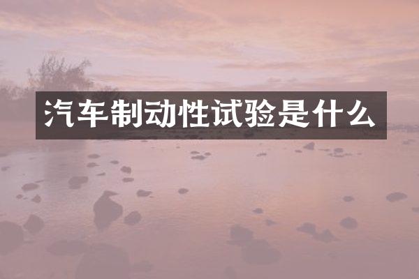 汽车制动性试验是什么