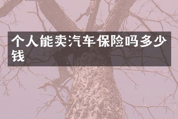 个人能卖汽车保险吗多少钱