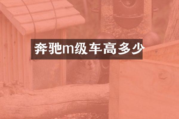 奔驰m级车高多少